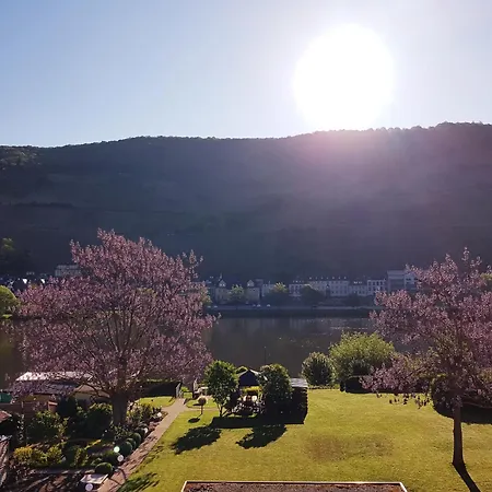 Zum Blauglockenbaum *